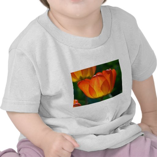 Intense Orange Bloom T-shirts