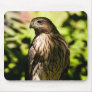 Intense Stare Mousepad