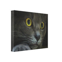 Intensity Canvas Print