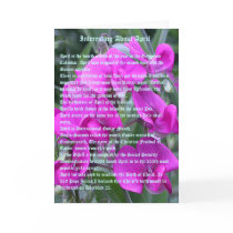 Interesting facts about April Greeting Cards