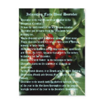 Interesting Facts About December Postcard