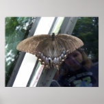 Interesting Reflection Poster