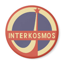 Interkosmos Magnets
