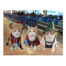 International Kitties Post Card