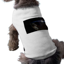 International Space Station -- Seen from Atlantis Dog Clothes