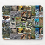 internet safari mousemat mousepads