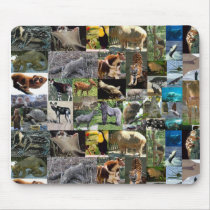 internet safari mousemat mousepads