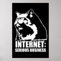 Internet: Serious Business (lolcat funny tshirt) posters