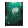 Into the blue Postcard