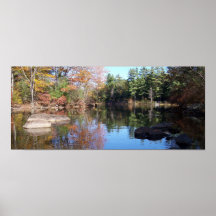 Into the Cove Print