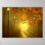 Into The Light Posters