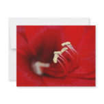 Into The Macro Custom Invitations