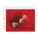 Into The Macro invitations