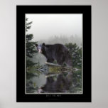 "INTO THE MIST" Black Bear Poster