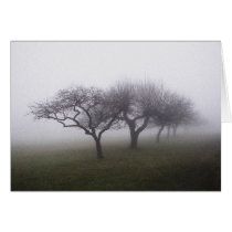 Into The Mist Greeting Card
