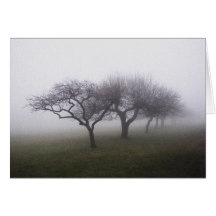 Into The Mist Greeting Card