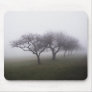 Into The Mist Mouse Pad