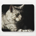 Into the Shadows ~ Mousepad