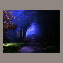 Into the Shadows posters