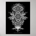 INTRAKiZI Poster posters