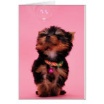 Intrigued Greeting Card