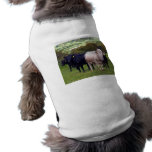 Invasion pet clothing