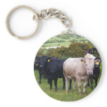 Invasion keychains