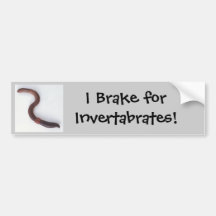 Invertebrates Bumper Sticker