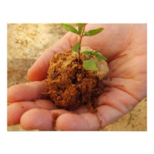 Investing for Growth Custom Announcement