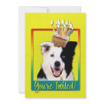 Invitation Cupcake - Border Collie