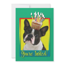 Invitation Cupcake - Boston Terrier