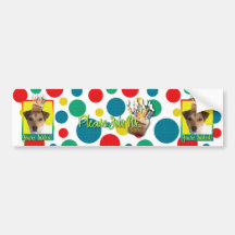 Invitation Cupcake - Jack Russell Bumper Stickers