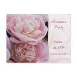 Invitation reply (RSVP) Postcard. Pink peonies.