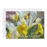 INVITATIONS Big Announcement! IRIS FLOWERS