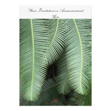 Invitations or Innouncements with Fern Motif