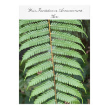 Invitations or Innouncements with Fern Motif