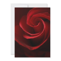 INVITATIONS    Red Rose