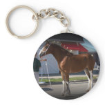 Iowa Clyde Show  Missy black border keychains