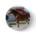 Iowa Clyde Show Missy ]white border buttons