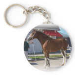 Iowa Clyde Show Missy ]white border keychains