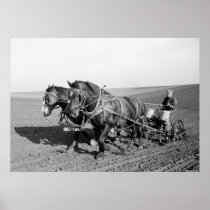 Iowa Corn Planter, 1940s