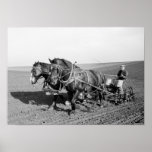 Iowa Corn Planter, 1940s posters