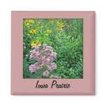 Iowa Prairie Refrigerator Magnets