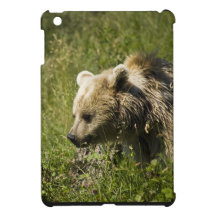 Ipad Mini QPC template iPad Mini Cove - Customised