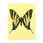 Iphiclides podalirius Postcard