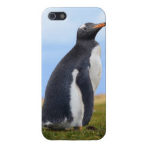 iPhone5 case - Penguin iPhone 5 Cases