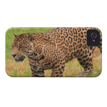 iphone 4 barely there QPC template Ca - Customised Case-Mate iPhone 4 Case