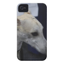 iphone 4 barely there QPC template Ca - Customised iPhone 4 Covers