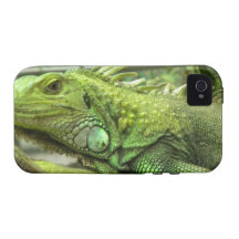 Iphone 4 Vibe QPC template iPhone 4/4 - Customised iPhone 4 Cases