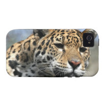 Iphone 4 Vibe QPC template iPhone 4/4 - Customised Case For The iPhone 4
